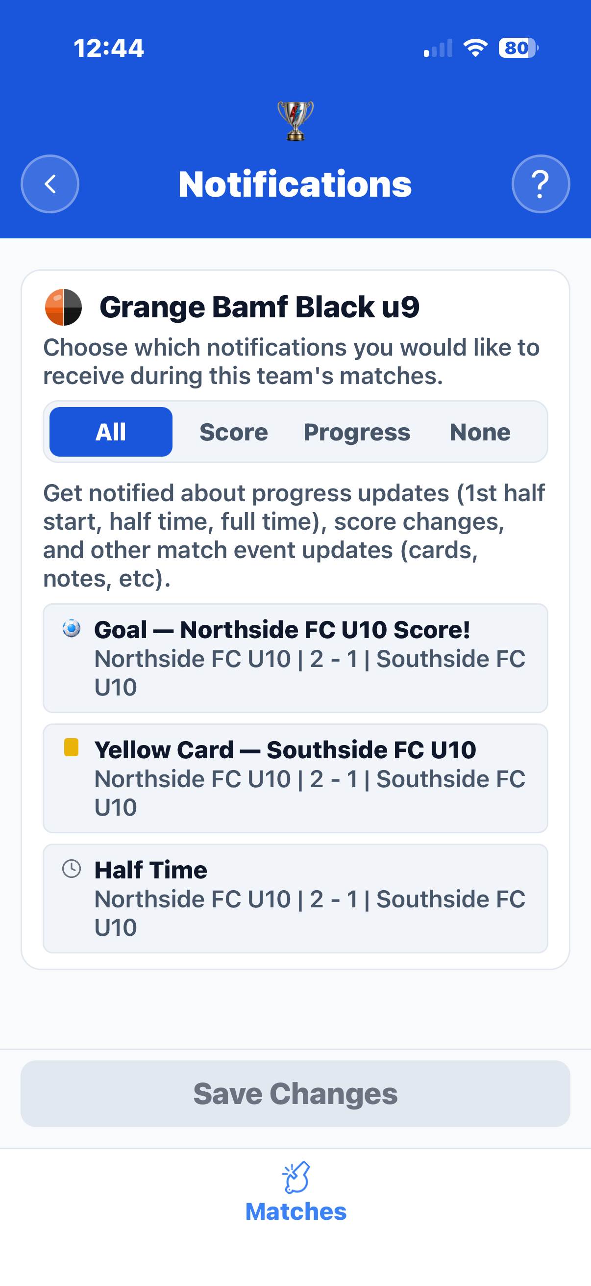 Notification preferences per team